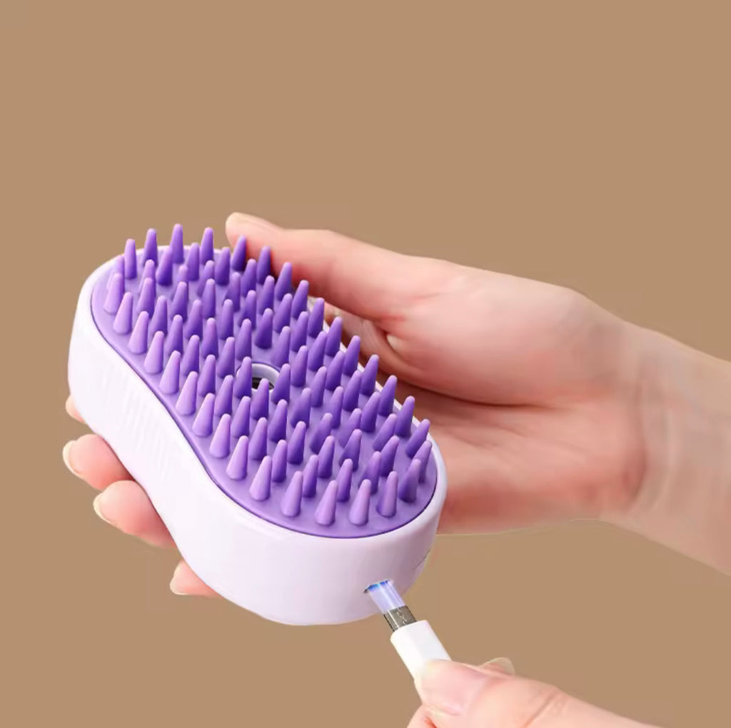 Brosse de Toilettage à Vapeur Rechargeable 3 en 1 pour Chat/Chien