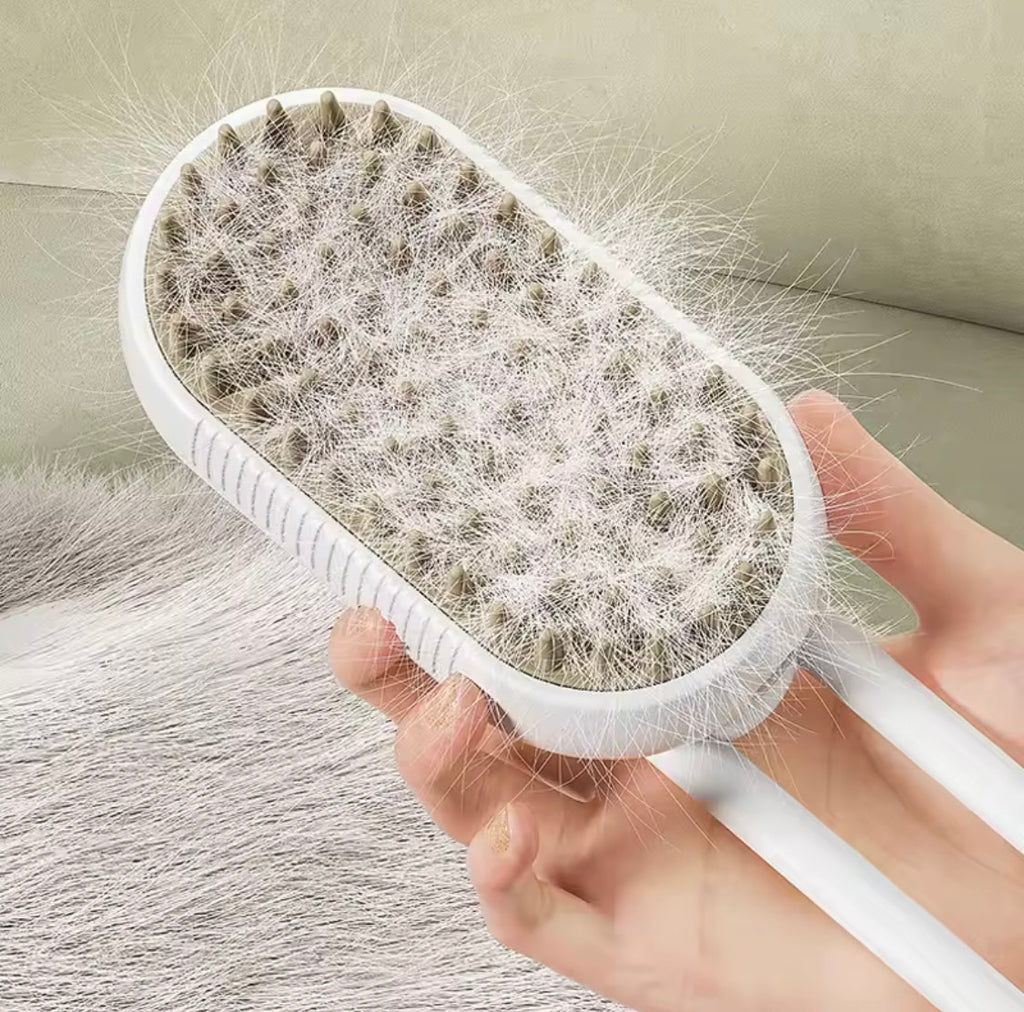 Brosse de Toilettage à Vapeur Rechargeable 3 en 1 pour Chat/Chien