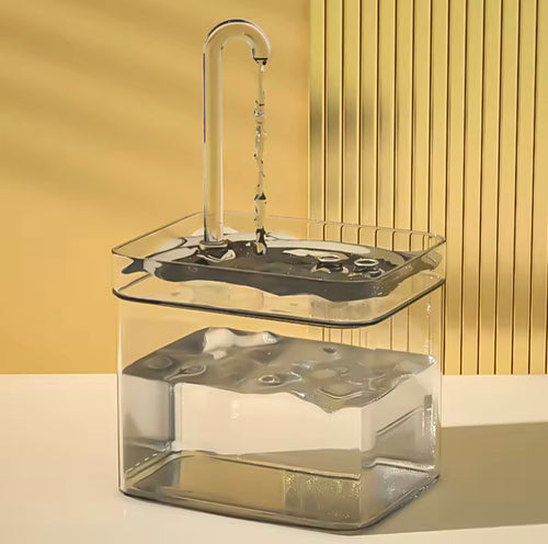 Fontaine d'eau pour chat