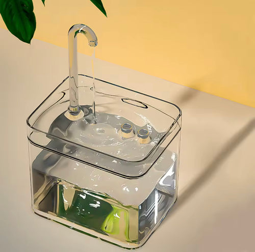 Fontaine d'eau pour chat