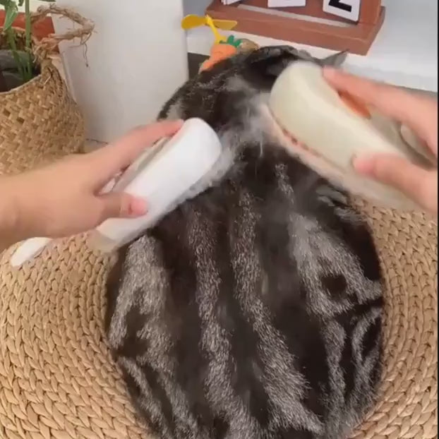 Brosse de Toilettage à Vapeur Rechargeable 3 en 1 pour Chat/Chien